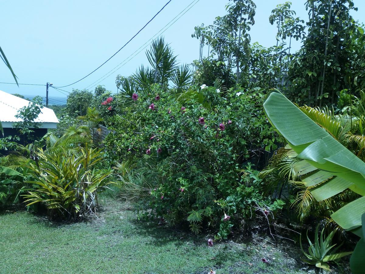 Bungalow Cocodile Villa Sainte-Anne  Buitenkant foto